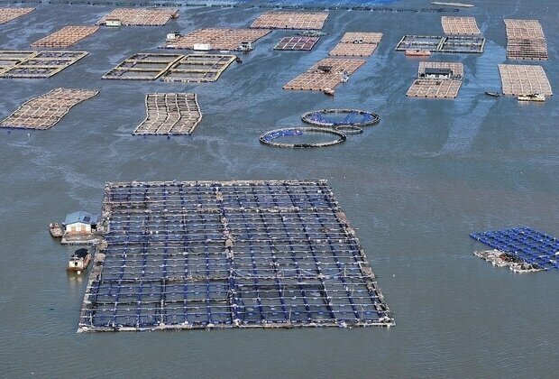 China's marine economy hits record 10.5 trillion yuan in 2024