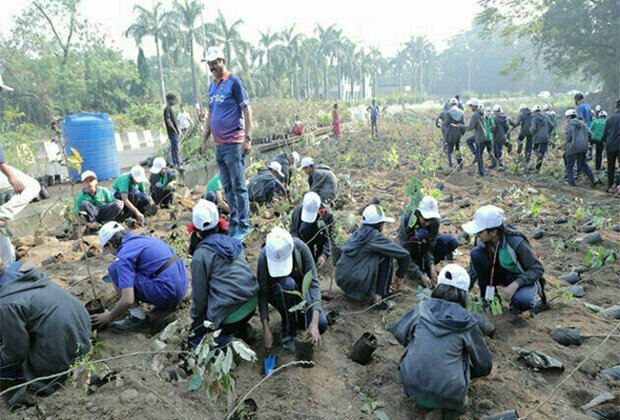 ONGC plants 5K saplings in Panvel