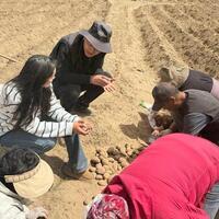 Crop of hope: Young Tibetan entrepreneur finds his future in the fields