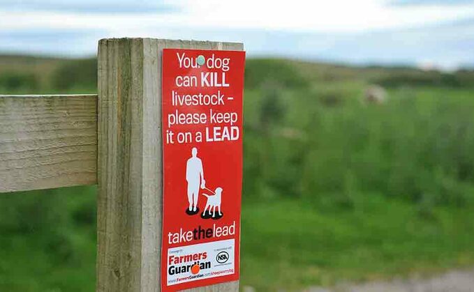 ﻿Kent Police said a dog had been seen attacking sheep on land near Ashenbank Woods.