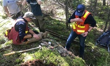  Field work at Koshman, within the Gorge project, Canada