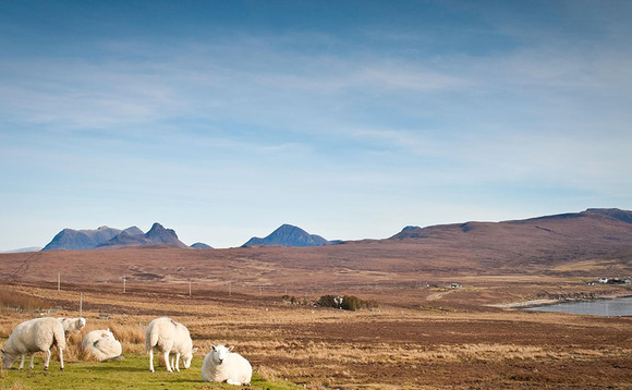 Scotlands rural youth deemed loneliest in Covid-19 survey