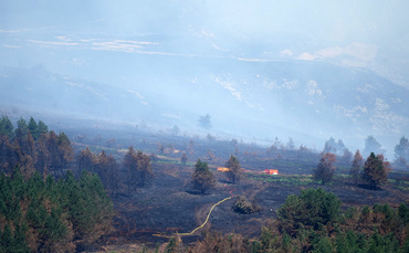 Government faces backlash over peatland wildfire policy