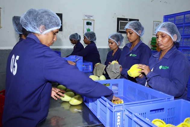 From local 'mandis' to global markets, transformation of South Gujarat's horticulture sector