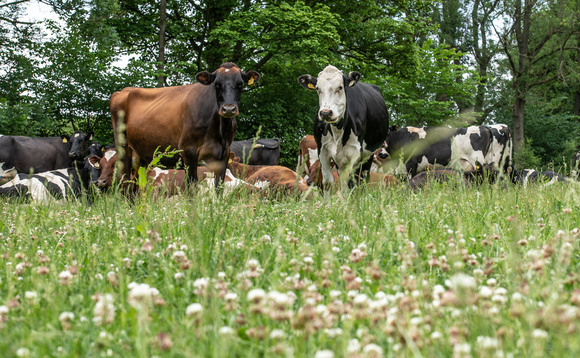 Waitrose ups unhomogenised milk production as demand soars