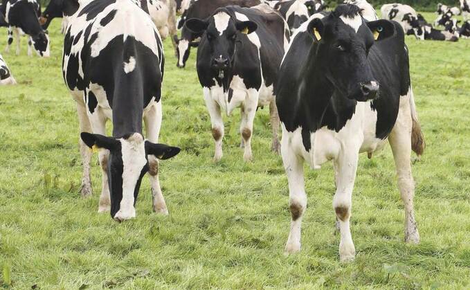 UK and EU dairy braced for Brexit turbulence