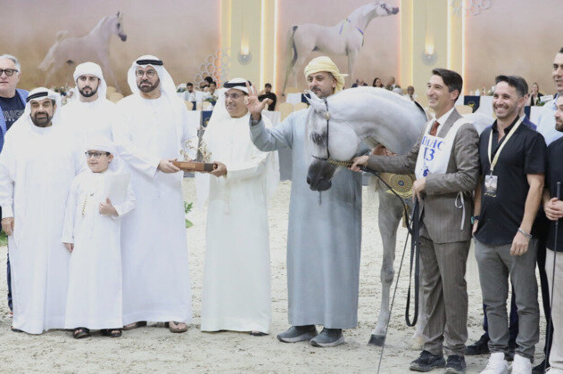Dubai Stud's D Seraj wins top honours at Dubai International Arabian Horse Championship