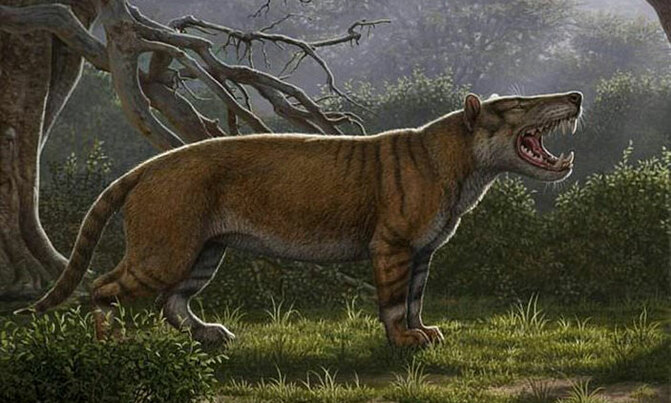 Researchers discover ancient giant 'lion' in Kenya Researchers discover ancient giant 'lion' in Kenya