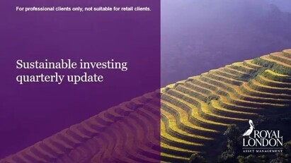 Sustainable Investing: quarterly update