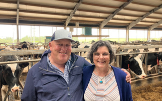 From Northern Ireland to South Dakota: Lessons in building a resilient dairy business