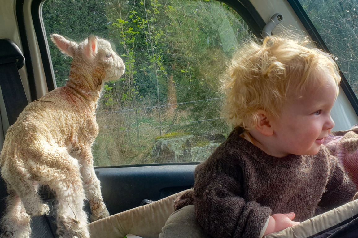 Country Life- Farming with a toddler in tow