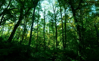 UK BPA providers adopting shared set of sustainability principles