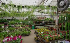 'This isn't an isolated issue': 'Harsher' weather rearranging florist and garden centre sales mix