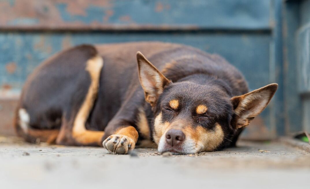Farmsafe says fatigue has long been normalised in agriculture - but argues the "keep going" culture is not working.  