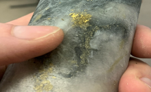 Auteco reported multiple occurrences of visible gold were observed, with individual grades of up to 315gpt