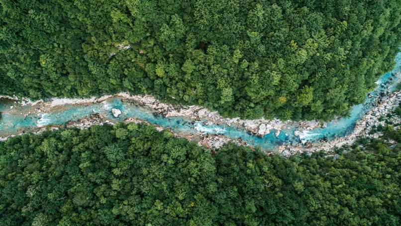 Image: GoncharukMaks/Shutterstock