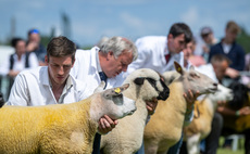 Chaileybrook Killer Queen takes the Three Counties Show crown 