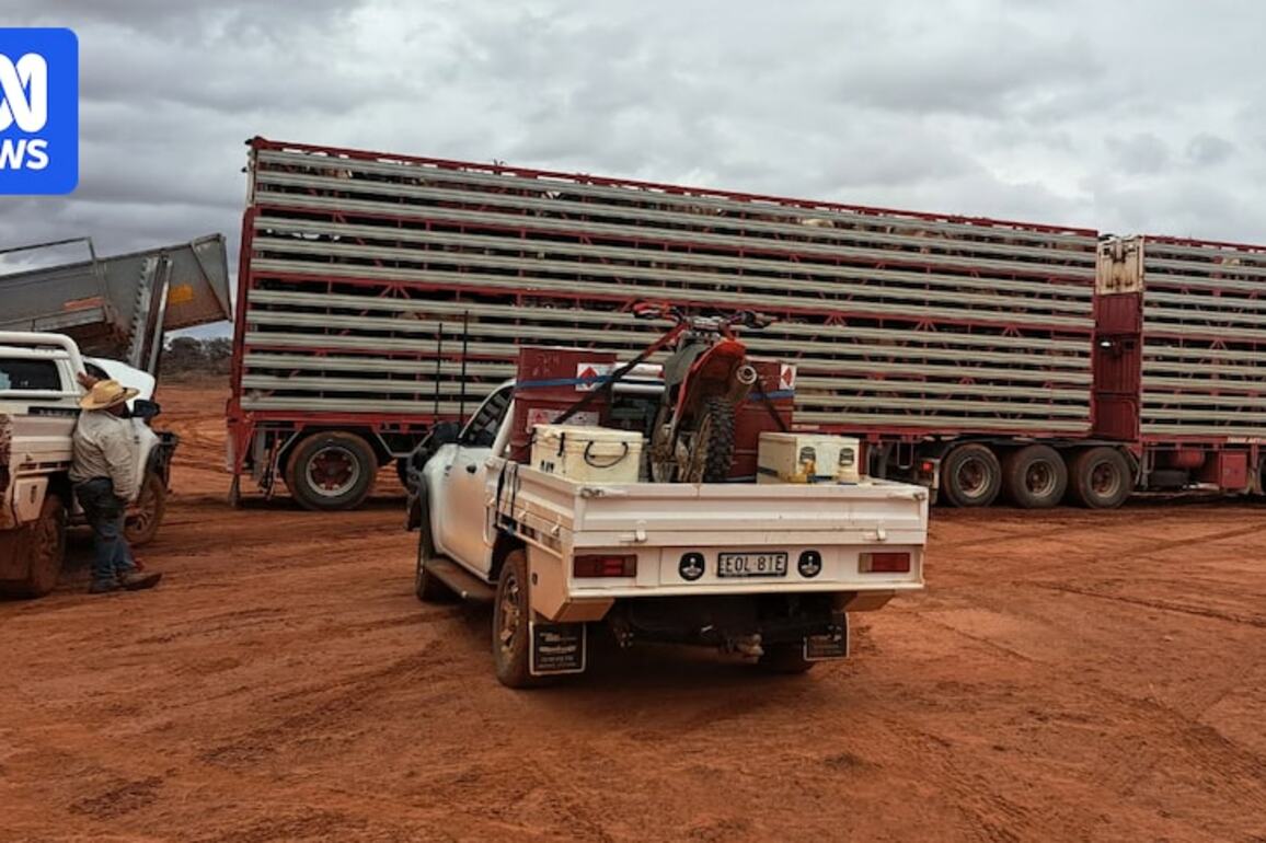 Diesel 4WDs remain essential in outback amid lack of EV grunt, infrastructure