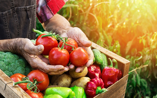 Study: North American food companies hungry for improved emissions reporting and climate strategies 