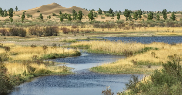 CHINA-INNER MONGOLIA-ORDOS-KUBUQI DESERT (CN)