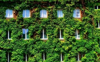 Plant-based buildings: New report details how green walls and roofs can boost urban climate resilience