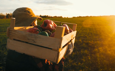 Farmers can now grow fruits, vegetables, and carbon credits