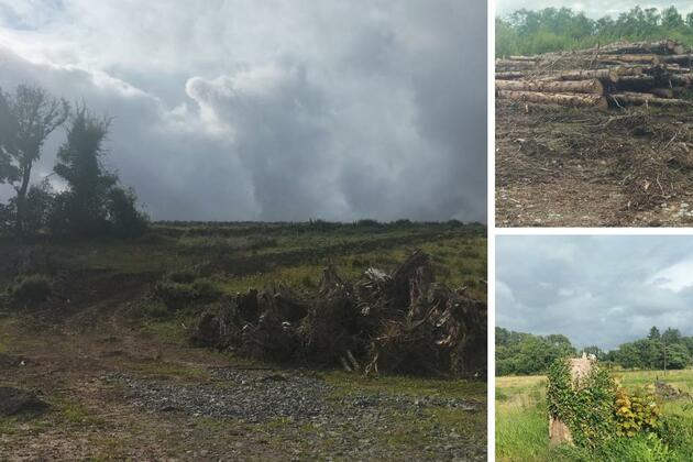 Stormont returns land to A5 farmers and agrees to pay compensation