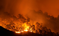 'Global red alert': Fires responsible for half of global forest loss in 2024