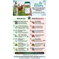 Gau Swastha: India's first image-based AI for cattle health and disease protection