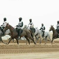 UAE President's Endurance Cup to commence tomorrow in Al Wathba