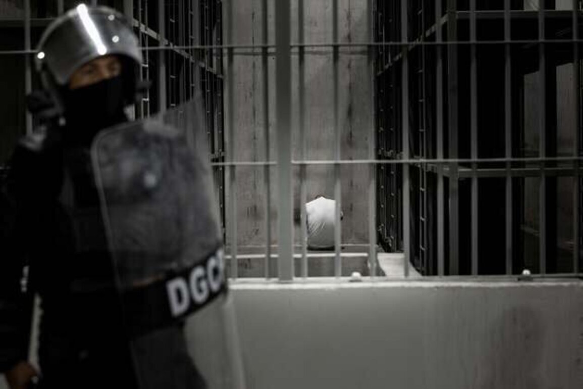 US/El Salvador: Torture of Venezuelan Deportees