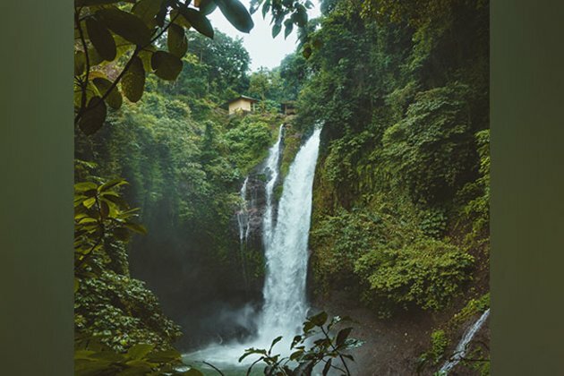 Amazon more vulnerable to scanty rains than previously believed