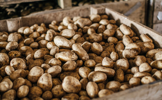 Potatoes are one of the most binned items according to a new Aldi survey