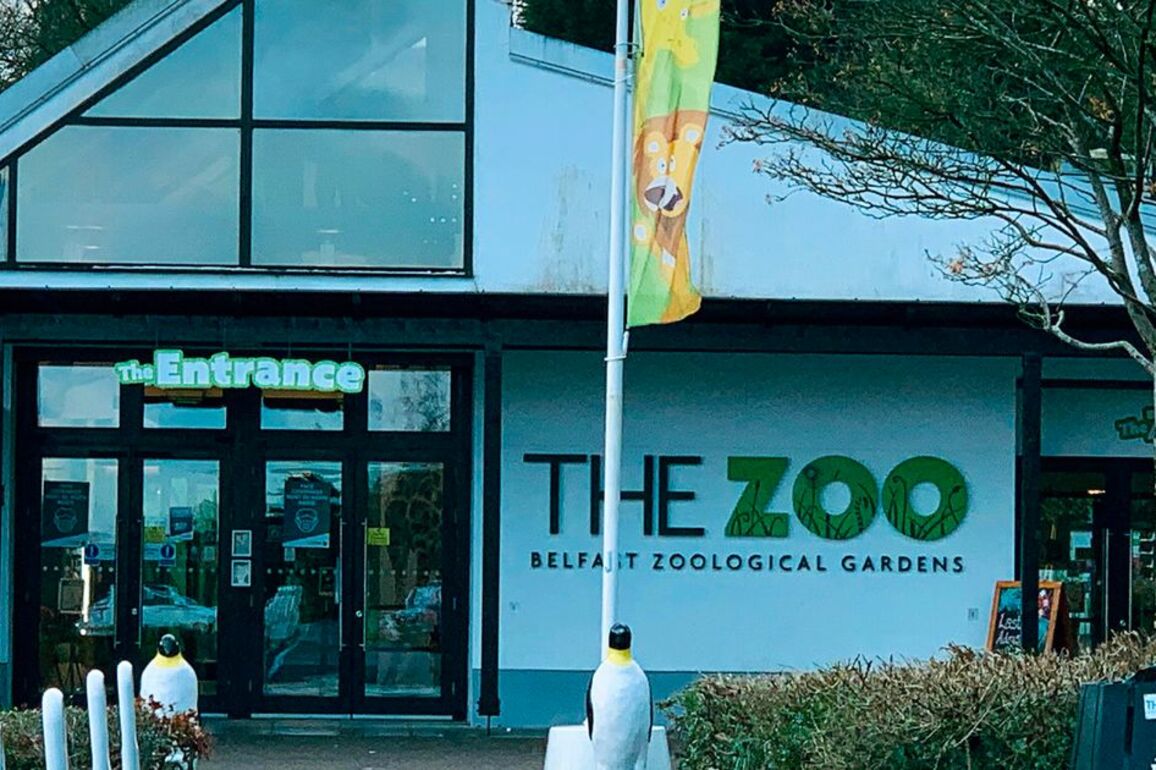 Belfast Zoo 2m safety works questioned as finances show it's losing 1m a year