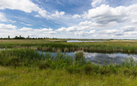 Hanson publishes 2015 sustainability report 