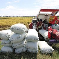 INDONESIA-SUKOHARJO-RICE-SELF-SUFFICIENCY