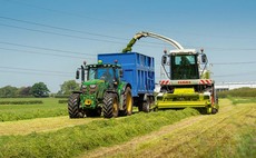 Making sure later cut silages deliver on yields and quality