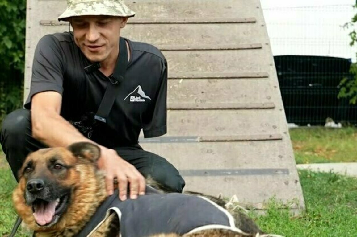 Ukrainian Amputee Veteran Finds Solace In Caring For Dogs