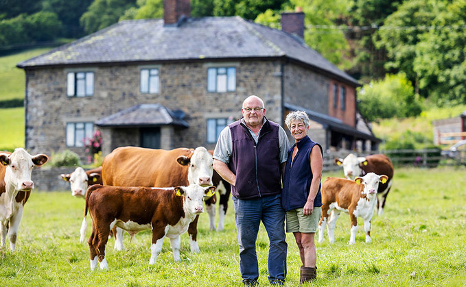 Hereford heritage: Dendor herd on top of its game