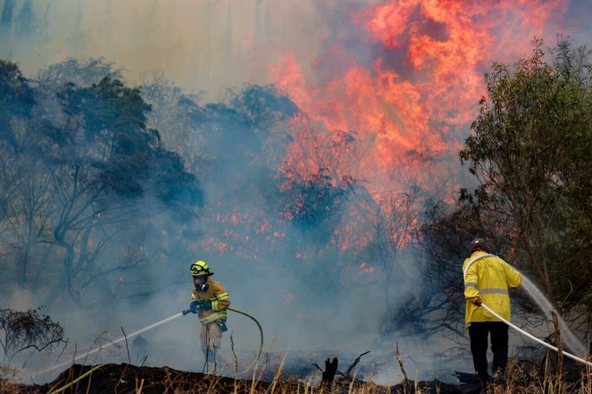 Wildfires halt main Independence Day event as blazes sweep Israel - Texas Jewish Post