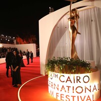 Chinese film The Botanist wins award at Cairo film festival