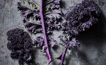 Coloured veg demand booms