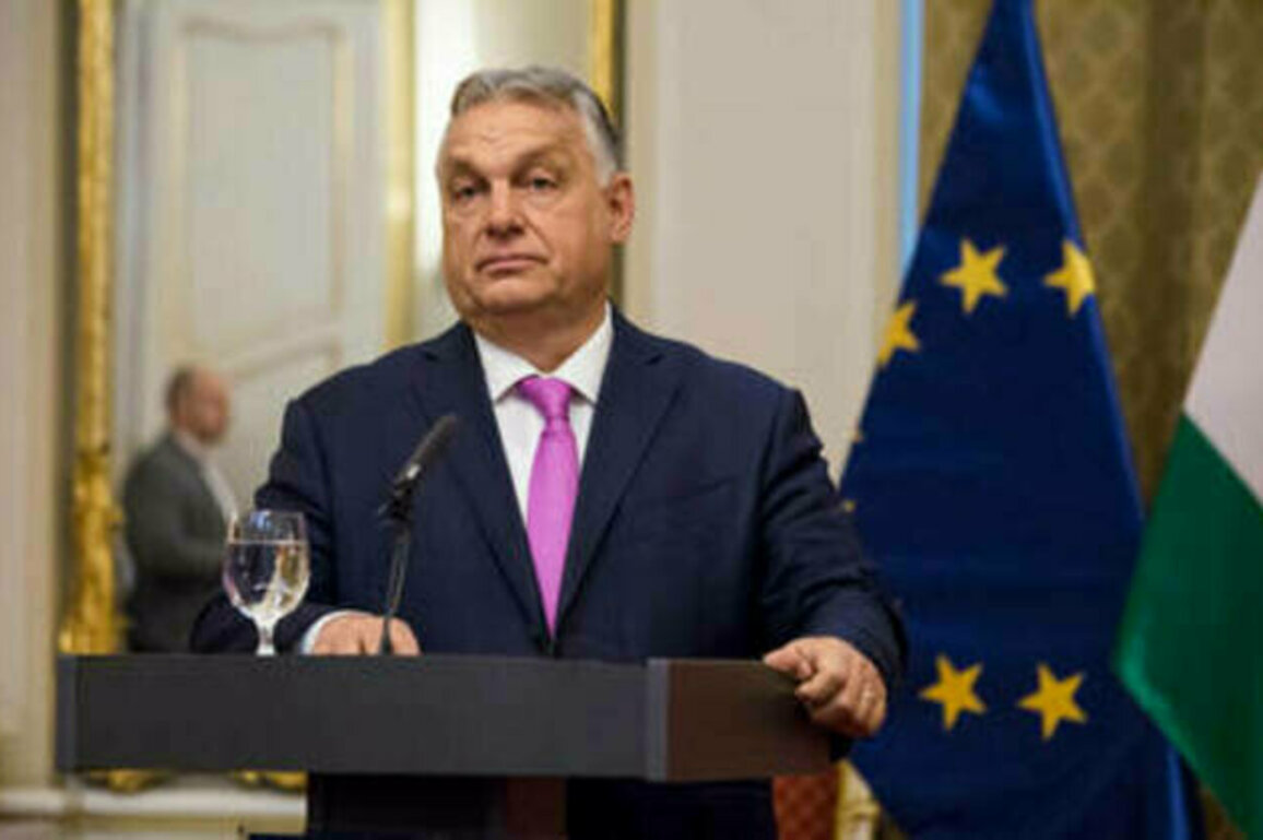 'Expel Soros agents' - Hungary issues list of demands to EU