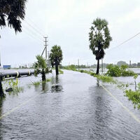 334 dead, scores homeless as Cyclone Ditwah strikes Sri Lanka