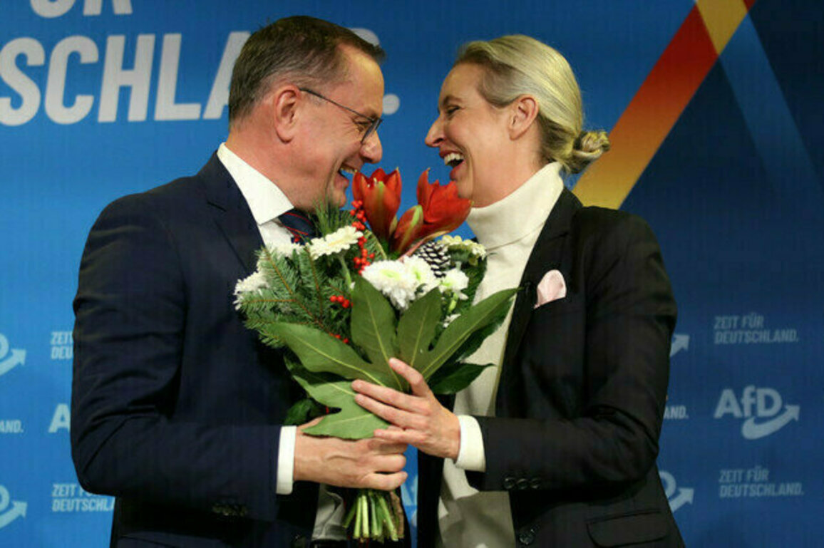 Heres why the AfD is destined for the German government
