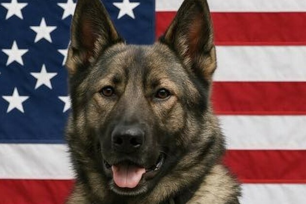 Va. K-9 killed after being struck by patrol car during pursuit