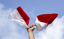 Indonesia flags