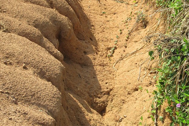 Nuclear Techniques Help Reveal High Rate of Soil Erosion in Benin