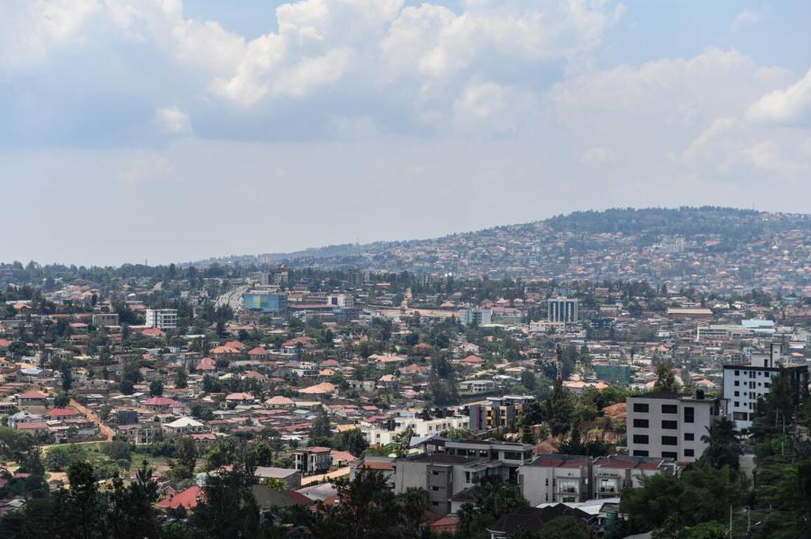New export protocol gives Rwandan avocados access to Chinese market