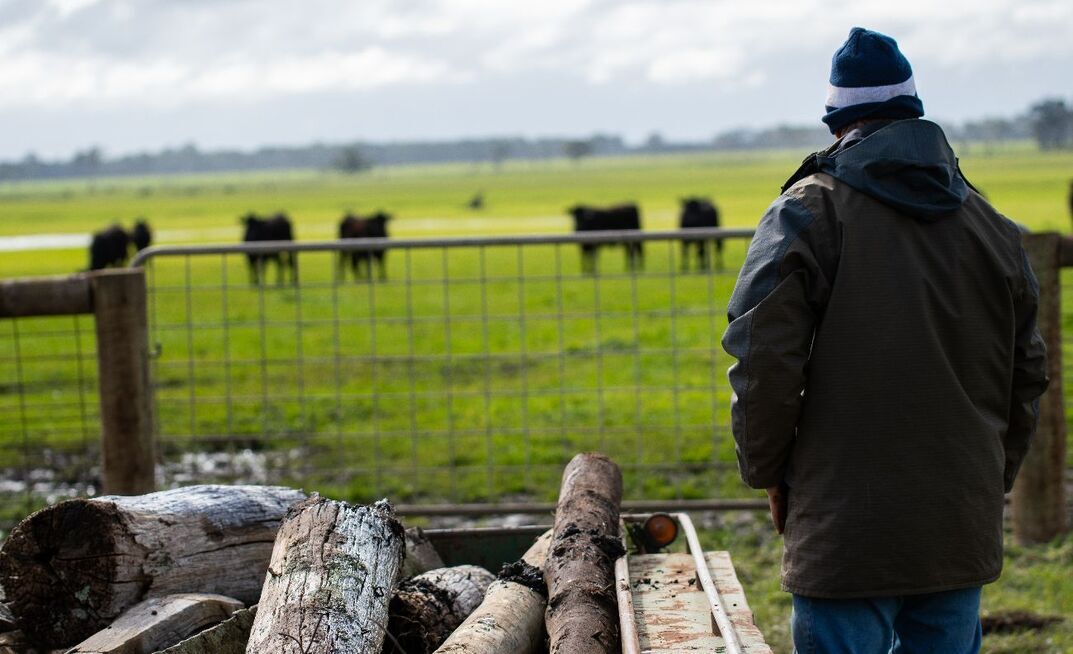 Psychiatrists are calling for greater investment in rural mental health.